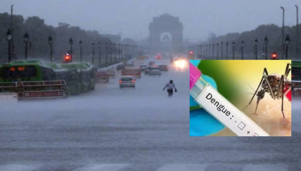 dengue in delhi
