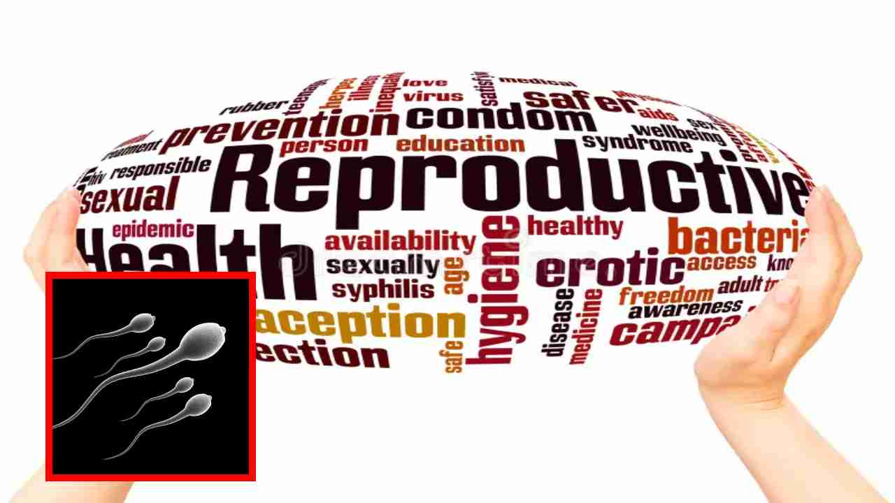 Reproductive Health : పురుషులు పునరుత్పత్తి ఆరోగ్యం గురించి తప్పక తెలుసుకోవాల్సిన ముఖ్యమైన వాస్తవాలు ! Reproductive Health : పురుషులు పునరుత్పత్తి ఆరోగ్యం గురించి తప్పక తెలుసుకోవాల్సిన ముఖ్యమైన వాస్తవాలు !