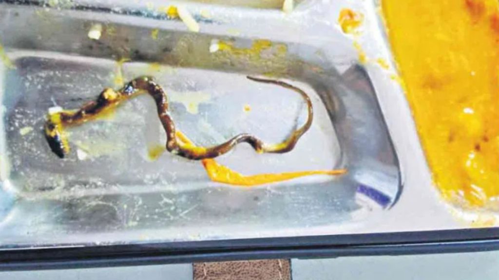 snake