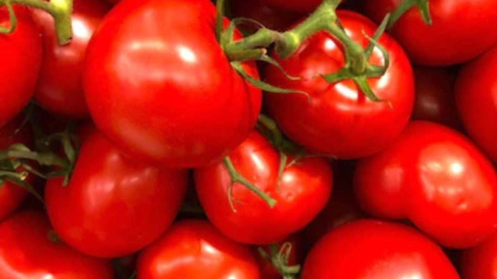 tomatoes theft