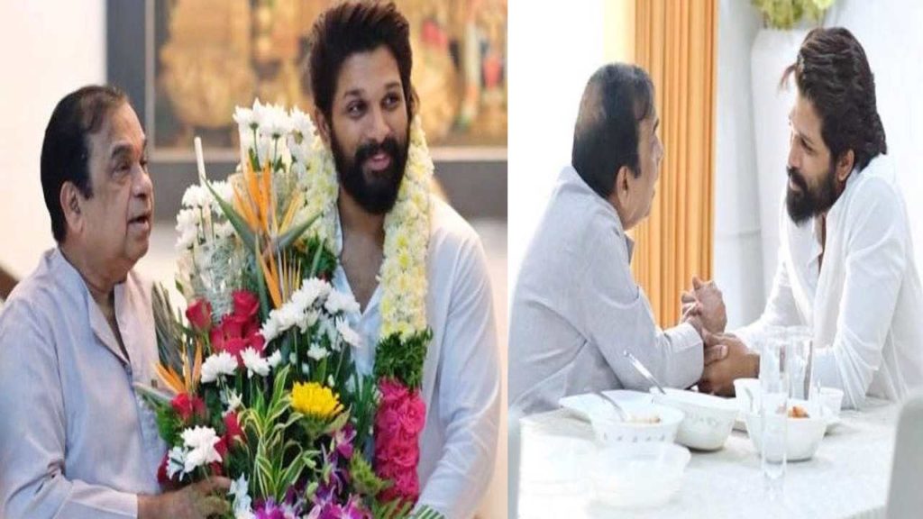 Allu Arjun-Brahmanandam