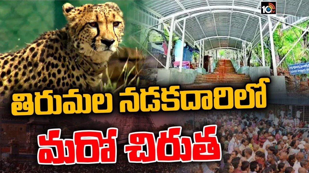 Leopard: బాబోయ్ మరో చిరుత..! తిరుమల కాలినడక మార్గంలో ఇంకో చిరుతపులి.. ఎలుగుబంటిసైతం ప్రత్యక్షం.. Leopard: బాబోయ్ మరో చిరుత..! తిరుమల కాలినడక మార్గంలో ఇంకో చిరుతపులి.. ఎలుగుబంటిసైతం ప్రత్యక్షం..
