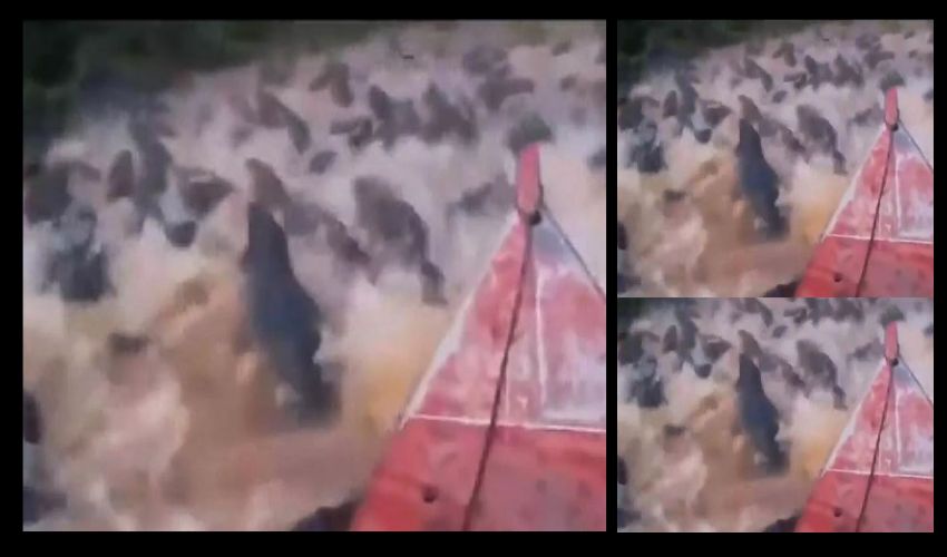 Boat ride in Crocodiles River