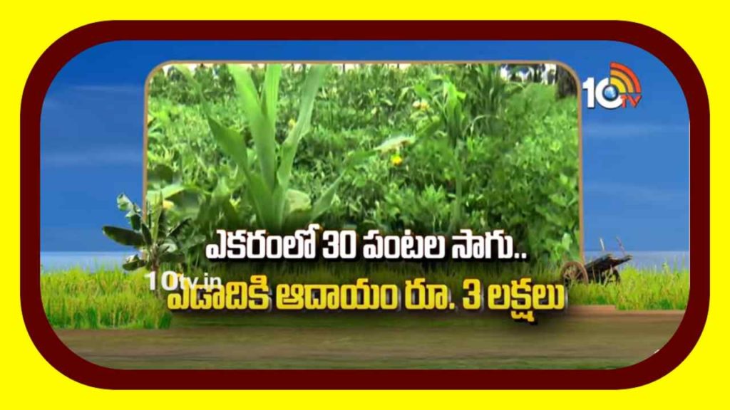 Cultivation of Crops