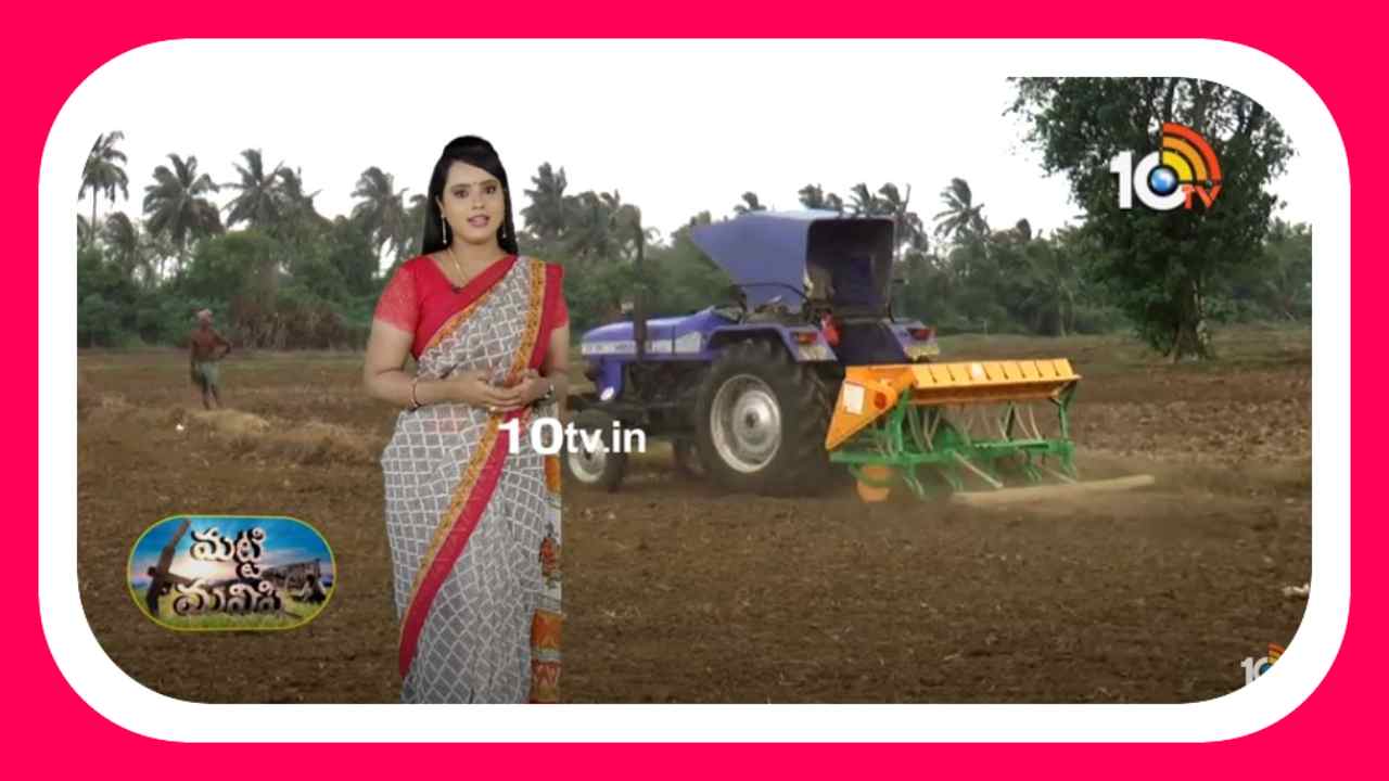 Rice Cultivation : పొడి విధానంలో వరి సాగు.. తక్కువ పెట్టుబడితోనే పంట దిగుబడులు Rice Cultivation : పొడి విధానంలో వరి సాగు.. తక్కువ పెట్టుబడితోనే పంట దిగుబడులు
