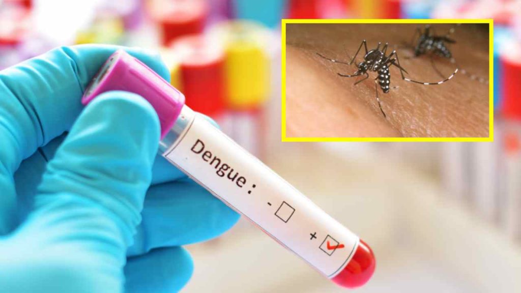 Dengue cases