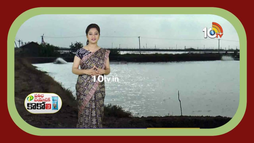 Fish Farming