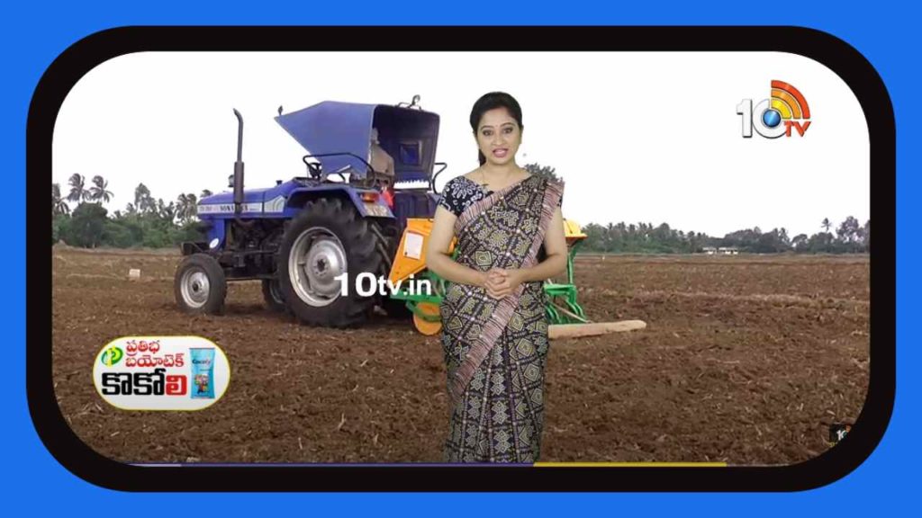 Kharif paddy