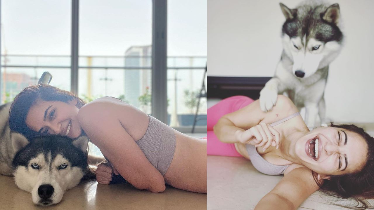 Kriti Kharbanda : పెట్ డాగ్‌తో కృతి కర్బందా క్యూట్ ఫోటోలు..
