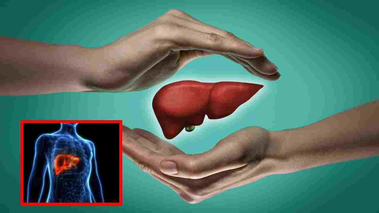 Hepatitis : వర్షాకాలంలో హెపటైటిస్ ప్రమాదాన్ని పెంచే కారకాలు, ఆరోగ్యకరమైన కాలేయం కోసం ? Hepatitis : వర్షాకాలంలో హెపటైటిస్ ప్రమాదాన్ని పెంచే కారకాలు, ఆరోగ్యకరమైన కాలేయం కోసం ?