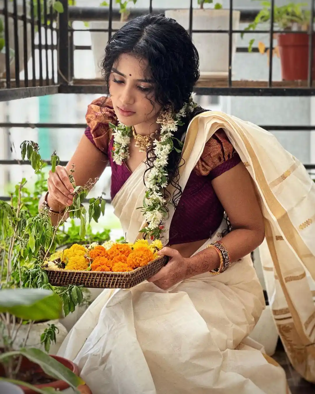 Malayala Actress Anupama Parameswaran saree photos on onam special