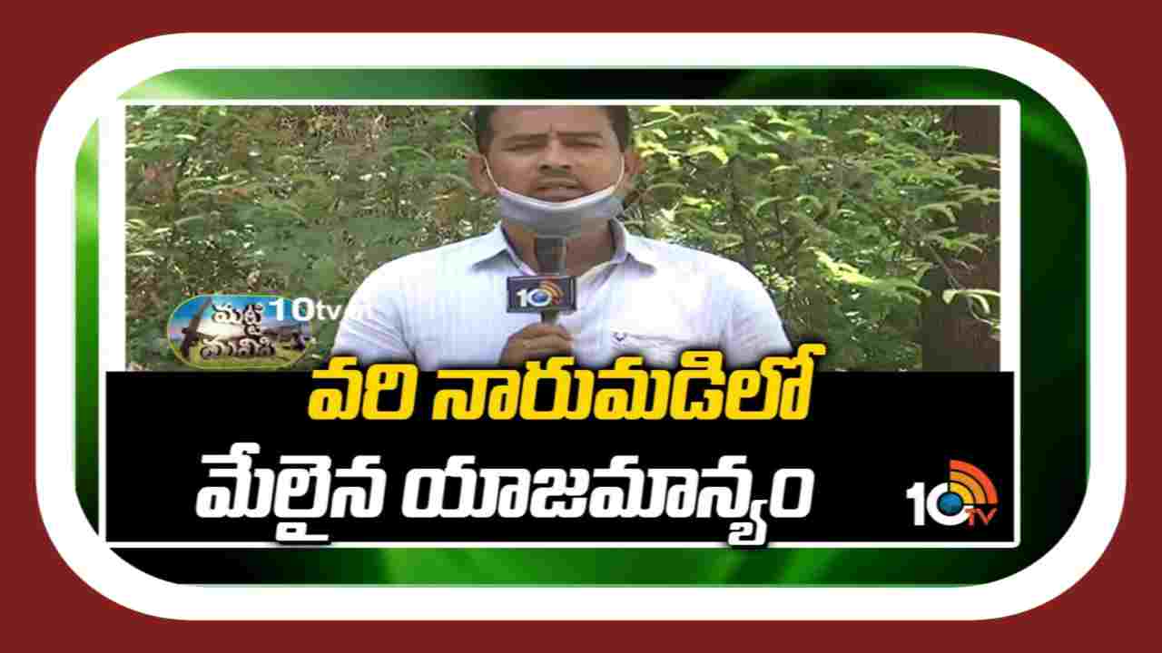 Paddy Nursery : ఖరీఫ్ వరినారుమడులను పోస్తున్న రైతులు.. నాణ్యమైన నారు కోసం చేపట్టాల్సిన మెళకువలు Paddy Nursery : ఖరీఫ్ వరినారుమడులను పోస్తున్న రైతులు.. నాణ్యమైన నారు కోసం చేపట్టాల్సిన మెళకువలు