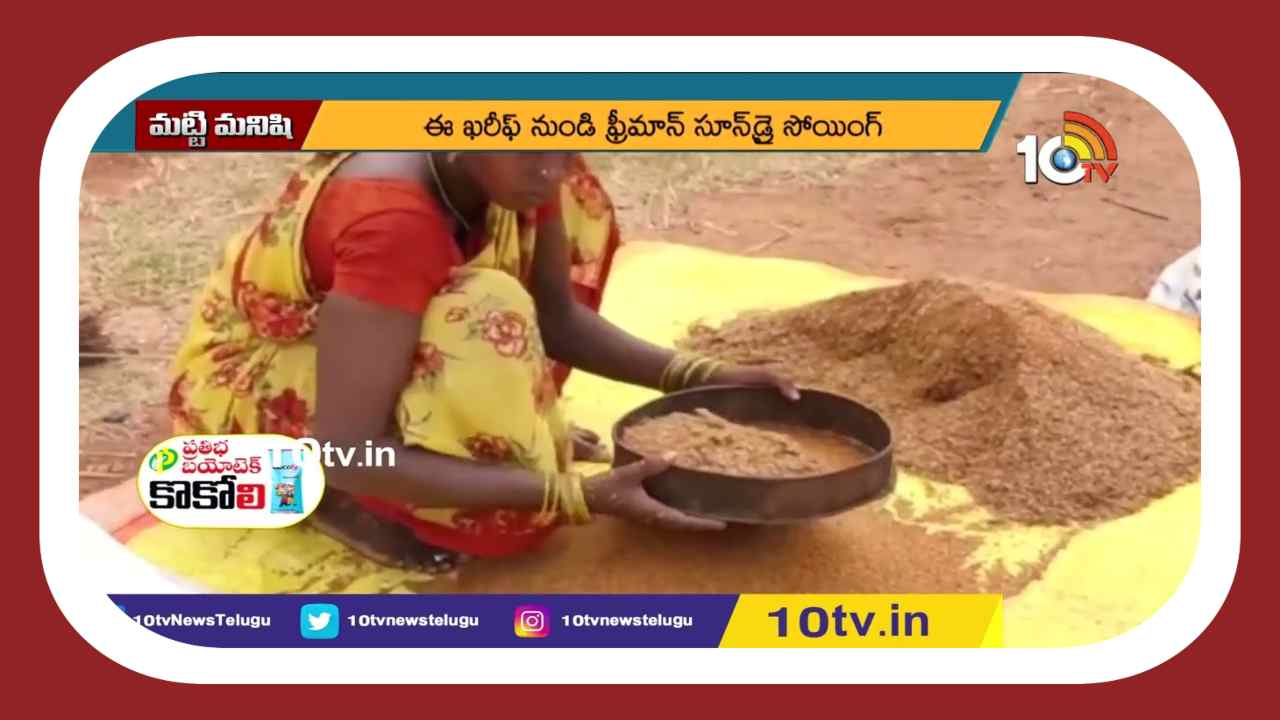 Millets Cultivation : చిరుధాన్యాల సాగును ప్రోత్సహిస్తున్న సబల Millets Cultivation : చిరుధాన్యాల సాగును ప్రోత్సహిస్తున్న సబల
