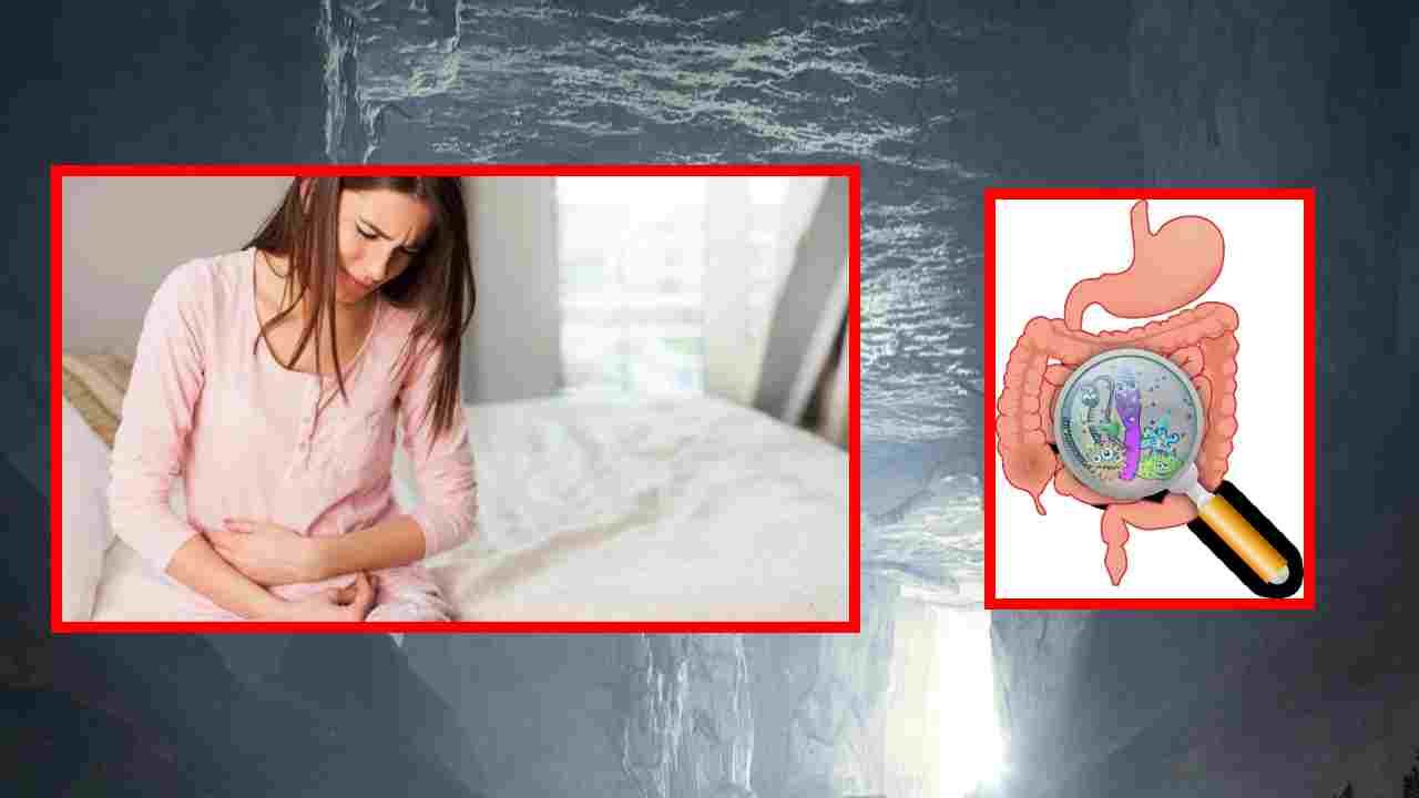 Monsoon Gut Problems : కడుపుబ్బరం, మలబద్ధకంతోపాటుగా వర్షాకాలంలో కనిపించే 5 సాధారణ కడుపు దోషాలు ! Monsoon Gut Problems : కడుపుబ్బరం, మలబద్ధకంతోపాటుగా వర్షాకాలంలో కనిపించే 5 సాధారణ కడుపు దోషాలు !