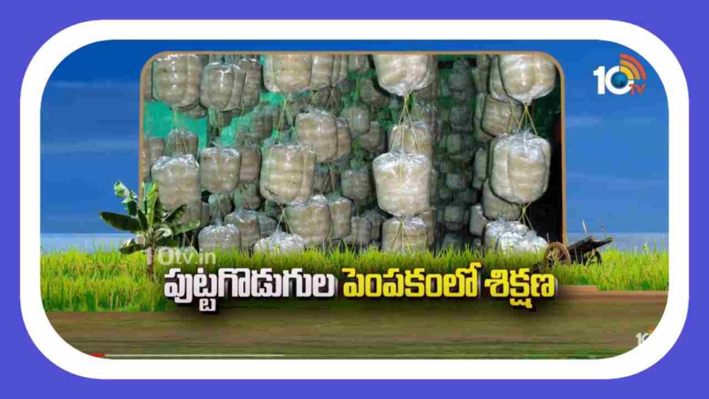 Mushroom Cultivation