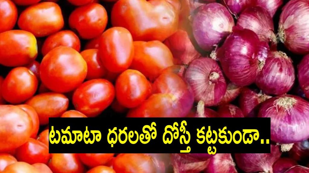 Tomato Onion