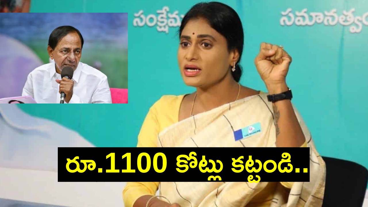 YS Sharmila: కోకాపేటలో దొర గారి భారతీయ భవన్ కోసం రూ.3.41 కోట్లకే 11 ఎకరాలు: షర్మిల YS Sharmila: కోకాపేటలో దొర గారి భారతీయ భవన్ కోసం రూ.3.41 కోట్లకే 11 ఎకరాలు: షర్మిల