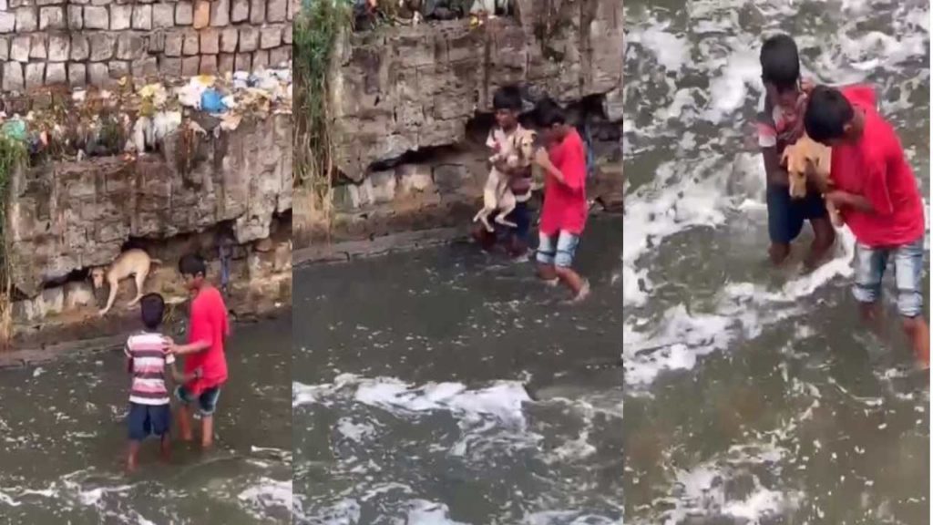 Boys saved the dog