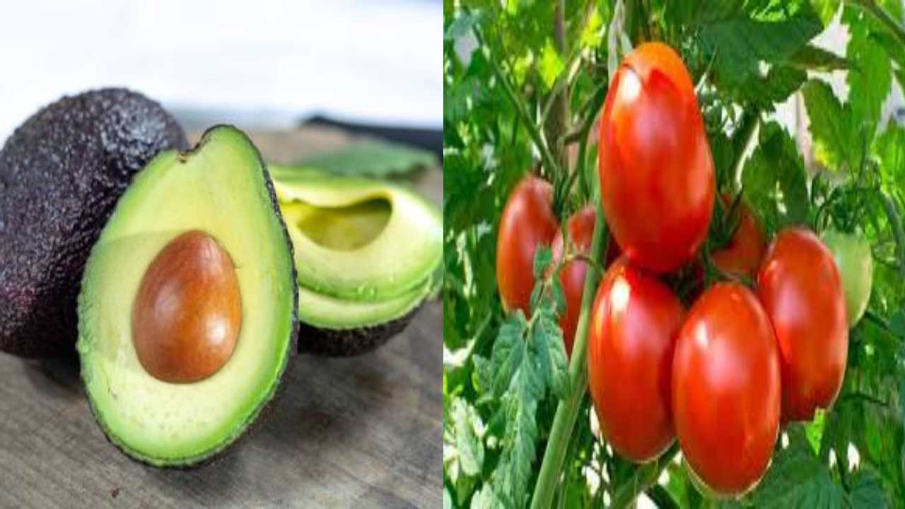 Replacing Tomato With Avocado : టమాటా ప్లేస్ను రీప్లేస్ చేస్తున్న అవకాడో.. మహిళ షేర్ చేసిన పోస్ట్ వైరల్ Replacing Tomato With Avocado : టమాటా ప్లేస్ను రీప్లేస్ చేస్తున్న అవకాడో.. మహిళ షేర్ చేసిన పోస్ట్ వైరల్