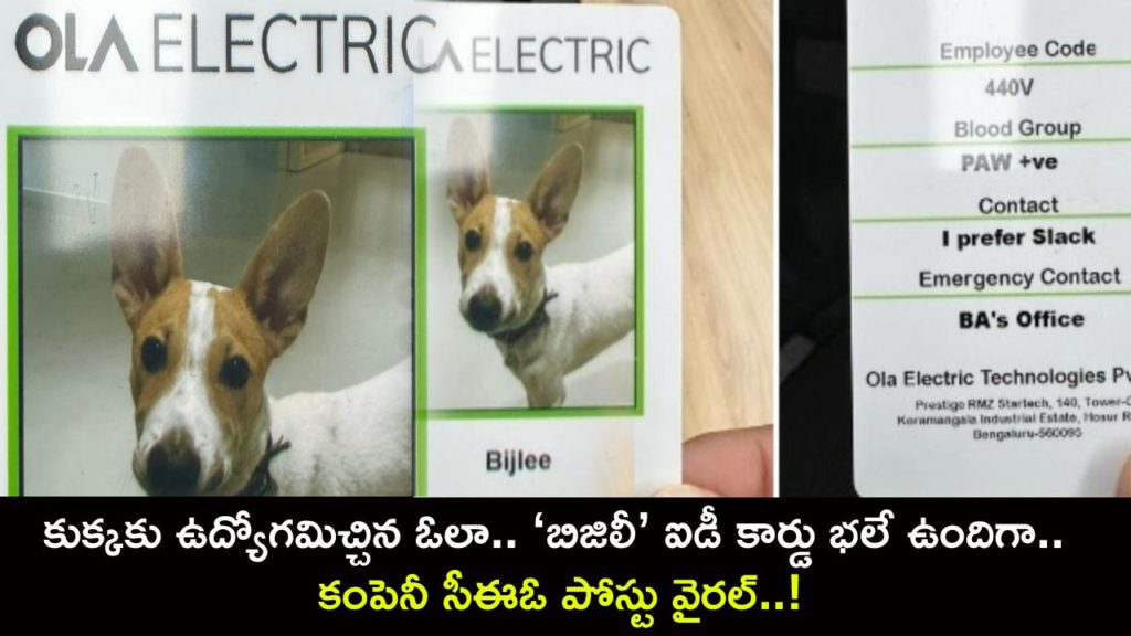 Ola Electric CEO hires a dog as the company’s newest employee, shares ID with employment details