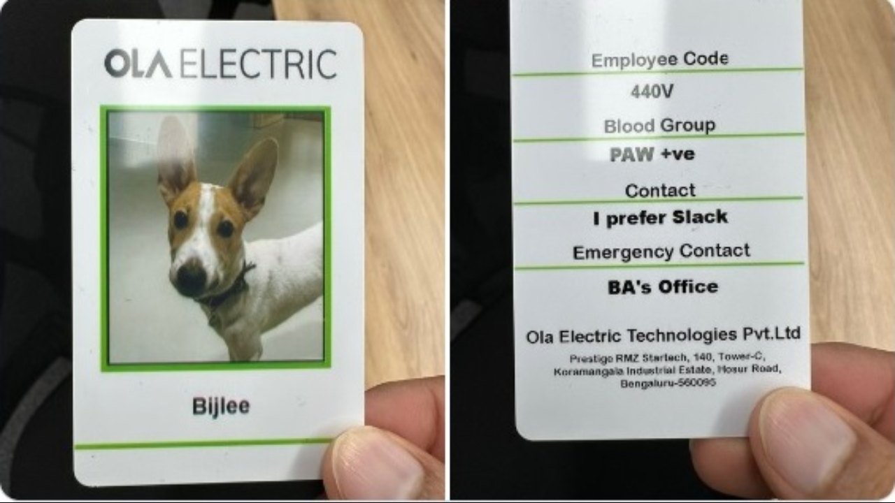 Ola Electric CEO hires a dog as the company’s newest employee, shares ID with employment details