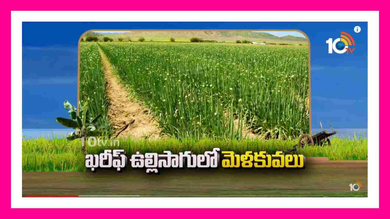 Onion Cultivation : ఖరీఫ్ ఉల్లిసాగులో మెళకువలు.. అధిక దిగుబడుల కోసం చేపట్టాల్సిన యాజమాన్యం Onion Cultivation : ఖరీఫ్ ఉల్లిసాగులో మెళకువలు.. అధిక దిగుబడుల కోసం చేపట్టాల్సిన యాజమాన్యం