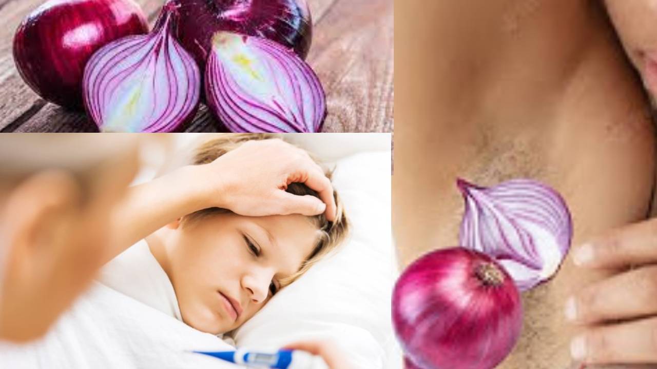 Onion In Underarms : చంకలో ఉల్లిగడ్డ పెట్టుకుంటే జ్వరం వస్తుందా..? నిజమెంత..? Onion In Underarms : చంకలో ఉల్లిగడ్డ పెట్టుకుంటే జ్వరం వస్తుందా..? నిజమెంత..?