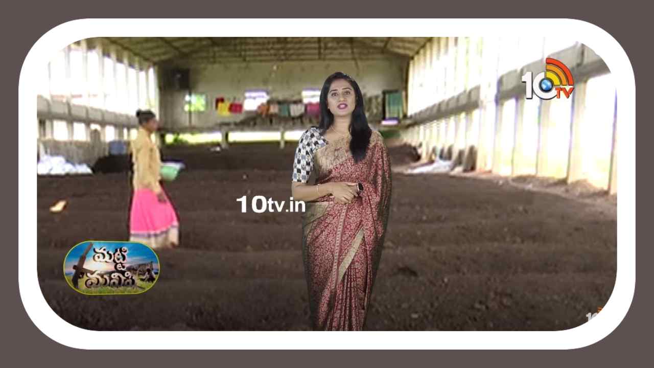 Organic Fertilizers : నాణ్యమైన సేంద్రీయ ఎరువుల తయారీ Organic Fertilizers : నాణ్యమైన సేంద్రీయ ఎరువుల తయారీ