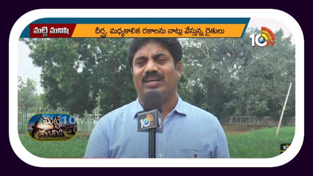 Paddy Cultivation