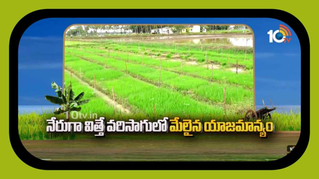 Paddy Transplanter