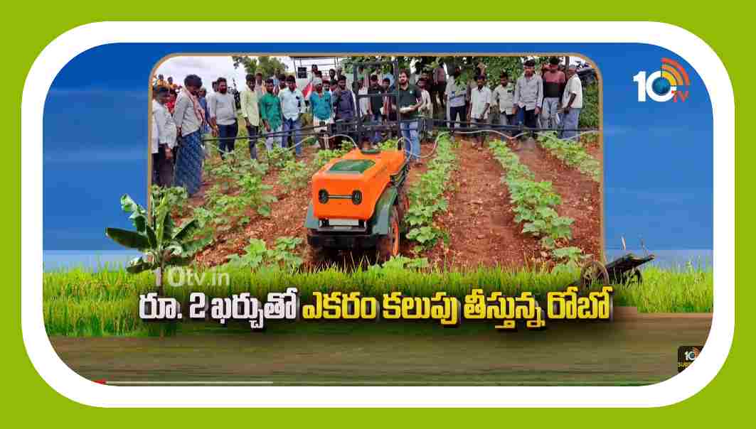 Robotic Technologies : పంటపొలంలో కలుపు తీస్తున్న రోబో…తగ్గిన కూలీల ఖర్చు Robotic Technologies : పంటపొలంలో కలుపు తీస్తున్న రోబో…తగ్గిన కూలీల ఖర్చు