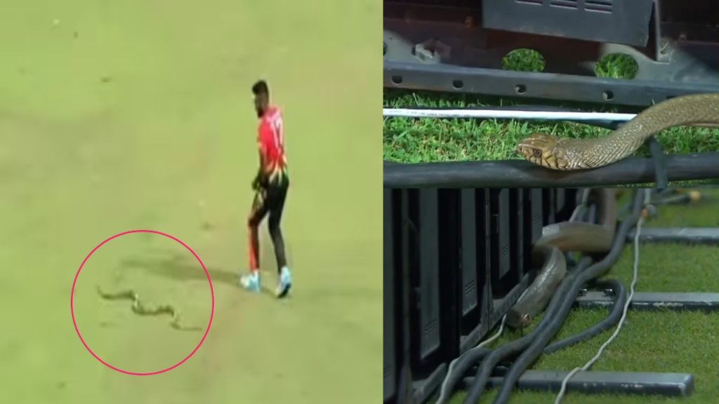 Snake in LPL