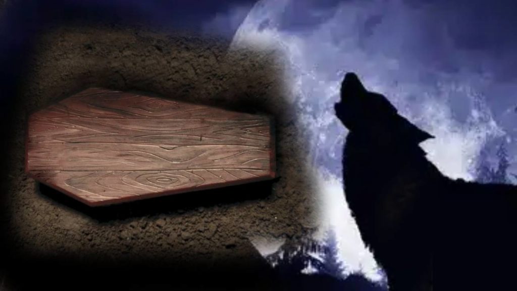 Sounds from the woman's coffin
