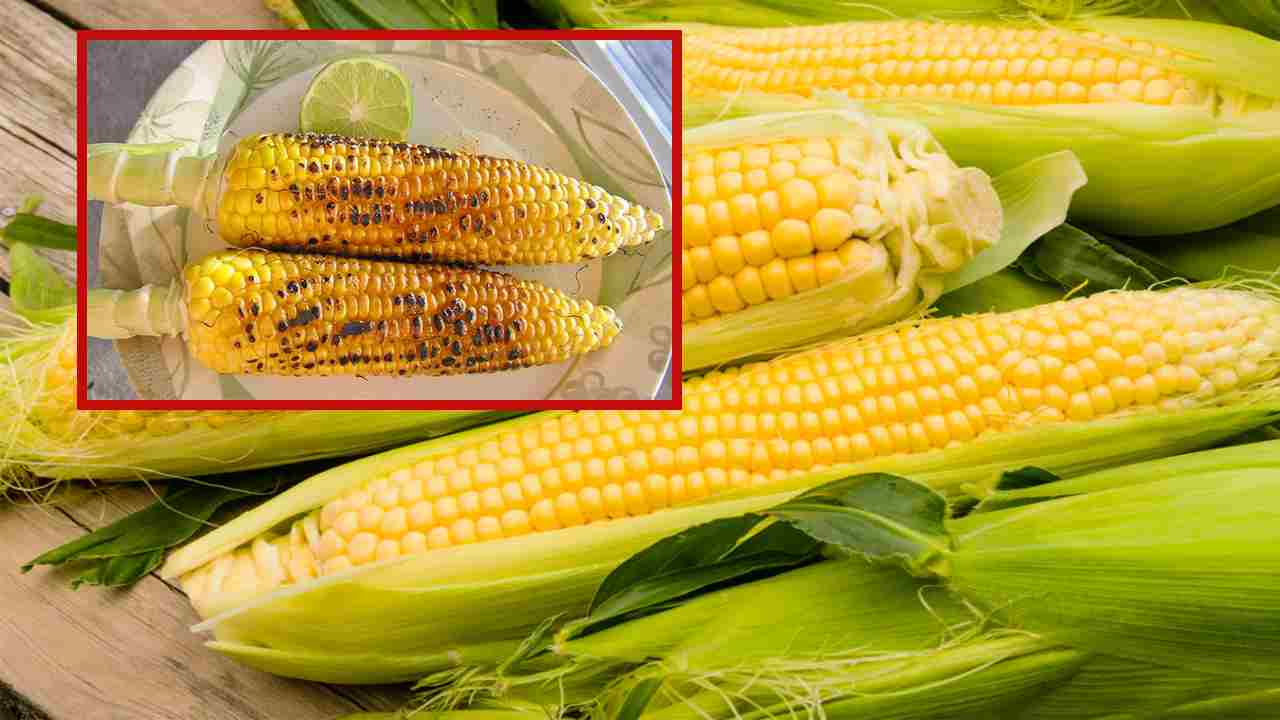 Eating Corn : కిడ్నీల ఆరోగ్యానికి మేలు చేసే మొక్కజొన్న Eating Corn : కిడ్నీల ఆరోగ్యానికి మేలు చేసే మొక్కజొన్న