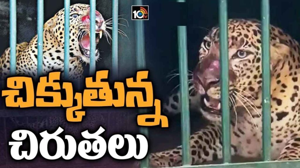 Tirumala - Operation Cheetah