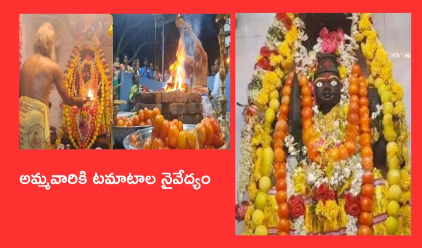 Tomato pooja : ధరలు తగ్గించు తల్లీ .. టమాటాలతో అమ్మవారికి పూజలు,టమాటాలే నైవేద్యం..భక్తులకు అవే ప్రసాదం Tomato pooja : ధరలు తగ్గించు తల్లీ .. టమాటాలతో అమ్మవారికి పూజలు,టమాటాలే నైవేద్యం..భక్తులకు అవే ప్రసాదం