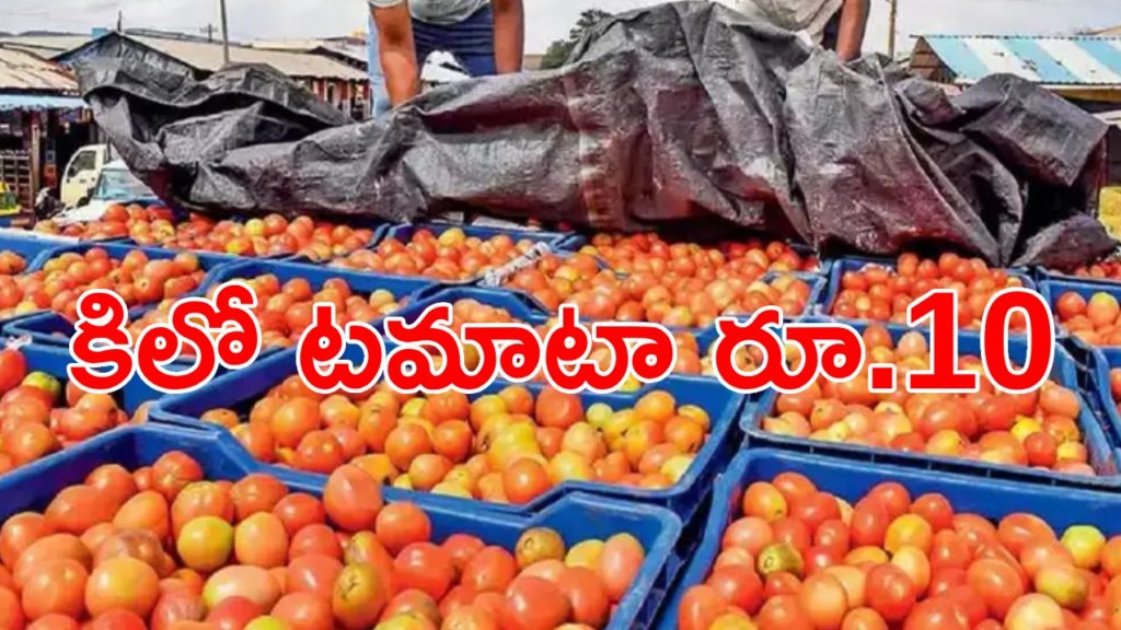 Tomato price