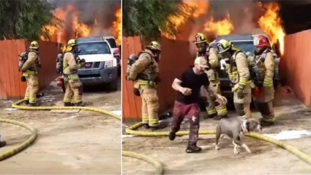 Man runs into burning home to save his dog