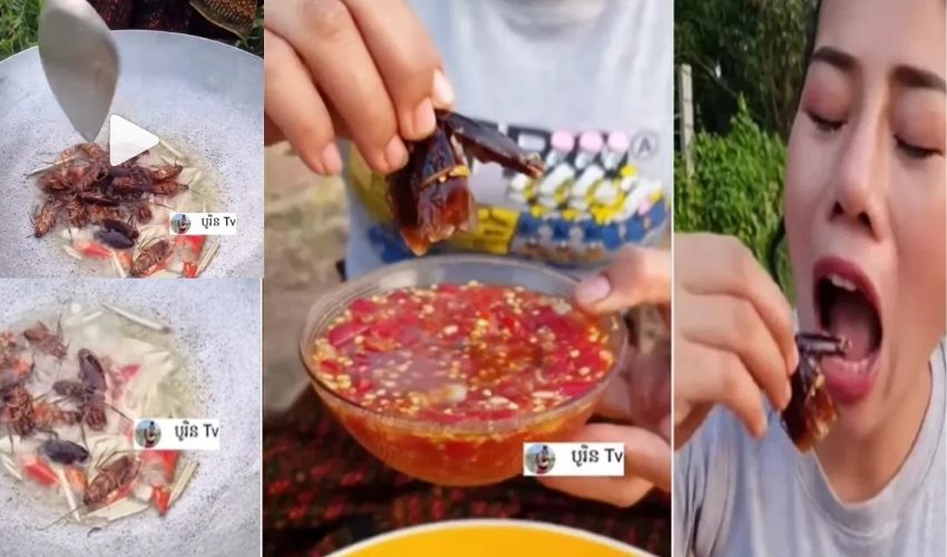 cockroach Fry : బొద్దింకల ఫ్రై .. ఎర్రమిర్చితో నంచుకుని లాగించేస్తున్న యువతి cockroach Fry : బొద్దింకల ఫ్రై .. ఎర్రమిర్చితో నంచుకుని లాగించేస్తున్న యువతి
