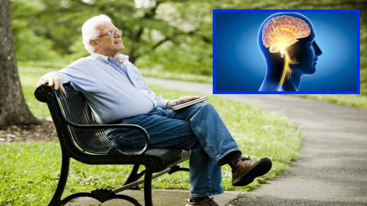 Brain Health : పదవీ విరమణ తర్వాత మీ మెదడు ఆరోగ్యాన్ని కాపాడుకోవడానికి చిట్కాలు Brain Health : పదవీ విరమణ తర్వాత మీ మెదడు ఆరోగ్యాన్ని కాపాడుకోవడానికి చిట్కాలు