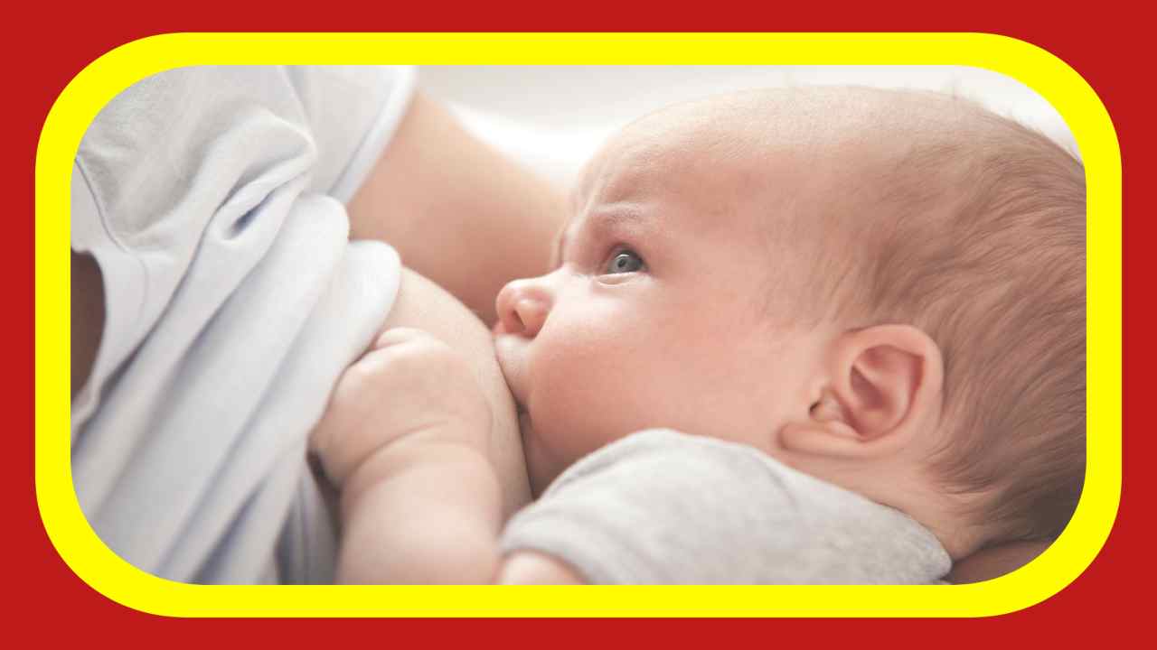 Breastfeed : మొదటి 6 నెలల పాటు శిశువుకు తల్లిపాలు ఇవ్వడం మంచిదా ? Breastfeed : మొదటి 6 నెలల పాటు శిశువుకు తల్లిపాలు ఇవ్వడం మంచిదా ?