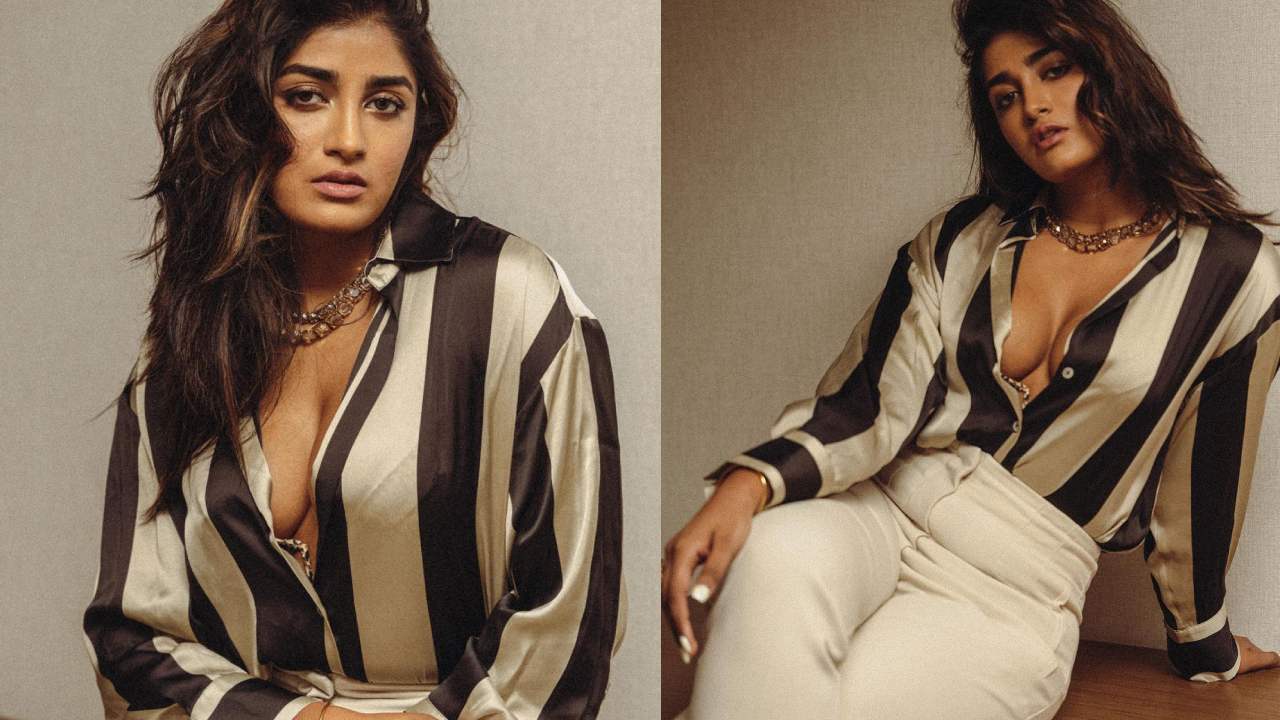 Dimple Hayathi : డింపుల్ హయతి డాషింగ్ హాట్ లుక్స్..