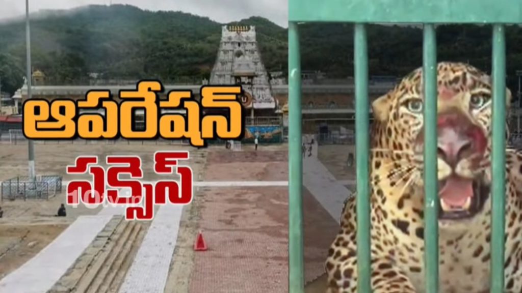 leopard Operation
