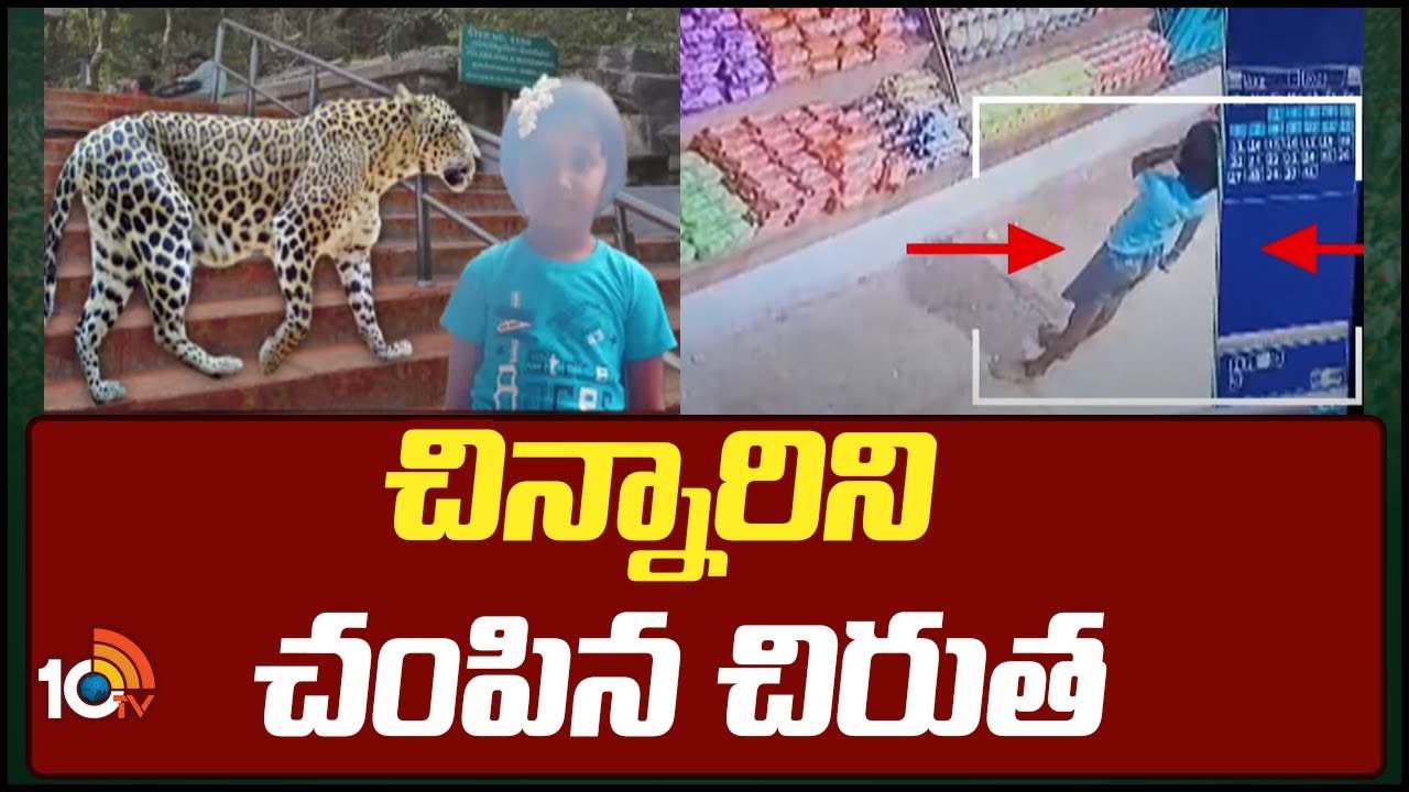 Leopard : చిన్నారిని చంపిన చిరుత