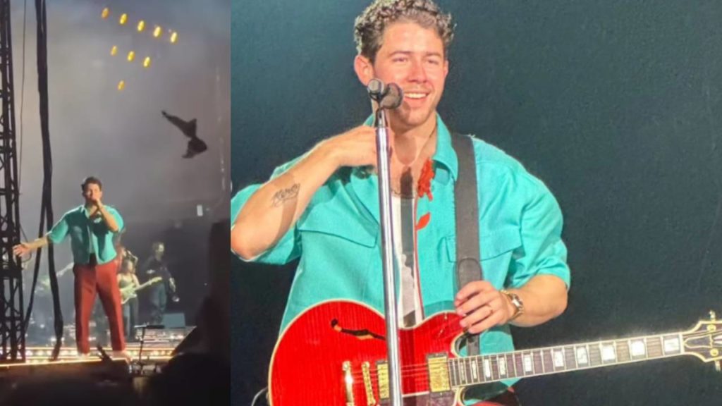 Audience threw inner clothes on Priyanka Chopra husband Nick Jonas at a public event