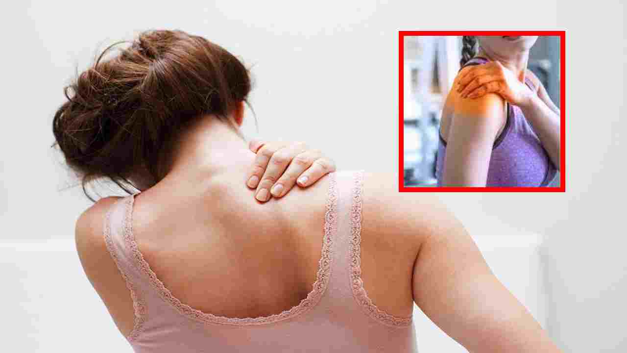 Shoulder Pain : మహిళల్లో భుజం నొప్పికి కారణమయ్యే కారకాలు.. పోషకాహరం ద్వారా ఎలా తగ్గించుకోవచ్చు ? Shoulder Pain : మహిళల్లో భుజం నొప్పికి కారణమయ్యే కారకాలు.. పోషకాహరం ద్వారా ఎలా తగ్గించుకోవచ్చు ?