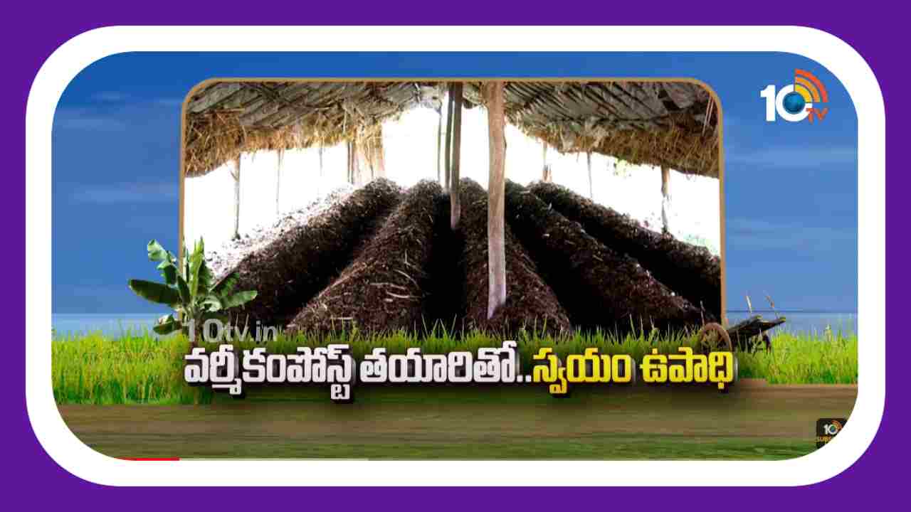 Vermicompost Making : వర్మీకంపోస్ట్ తయారితో స్వయం ఉపాధి Vermicompost Making : వర్మీకంపోస్ట్ తయారితో స్వయం ఉపాధి