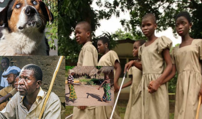 Blind Village : ఆ ఊర్లో మనుషులు, జంతువులకూ కంటిచూపు ఉండదు.. అంతా అంధులే.. Blind Village : ఆ ఊర్లో మనుషులు, జంతువులకూ కంటిచూపు ఉండదు.. అంతా అంధులే..