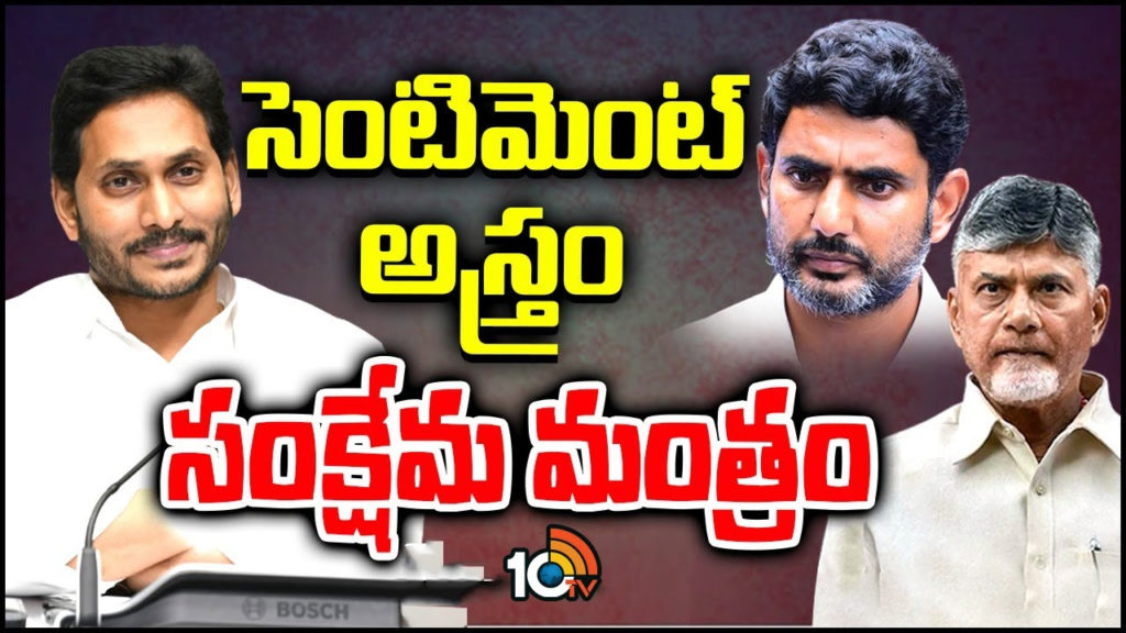 how telugu desam party sympathy strategy work out