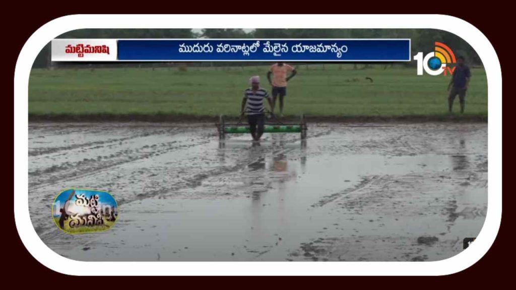 Cultivation of Rice